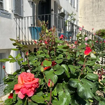 Guest house L'escale Du Midou *